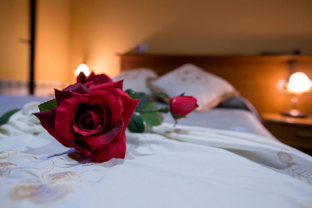 Hotel Restaurante Canero エクステリア 写真